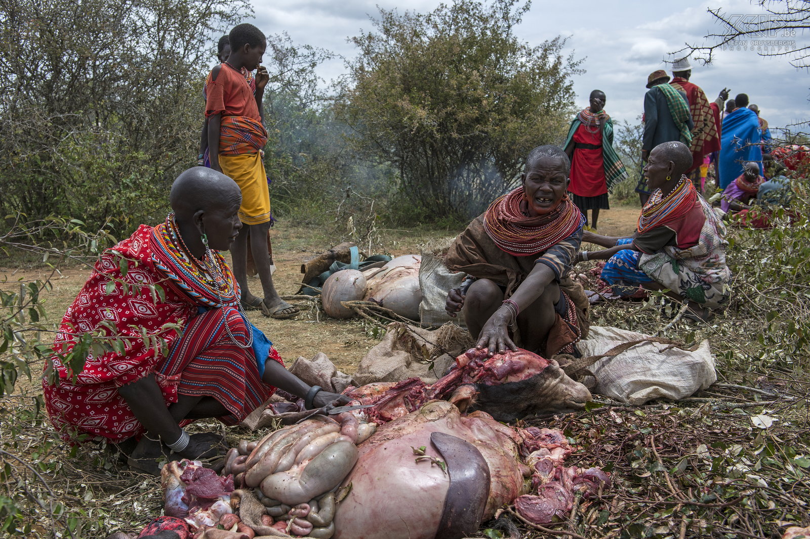Kisima - Samburu lmuget - Vrouwen De Samburu vrouwen moeten de ingewanden van de geslachte dieren reinigen en koken of braden. Stefan Cruysberghs